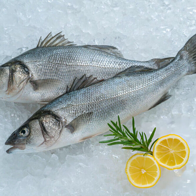 Fish and Aquaculture